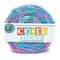 Lion Brand Yarn Cover Story Zephyr Super Bulky Polyester Multicolor Yarn 1 Cake
